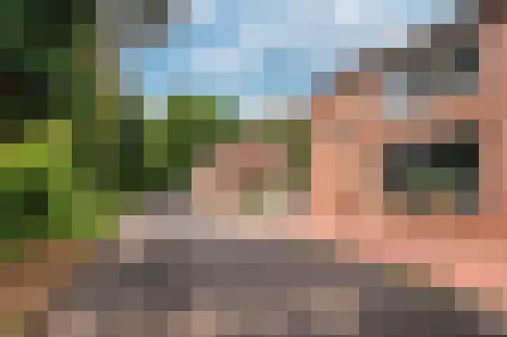 Lijsterweg 4 Venlo thumbnail 36