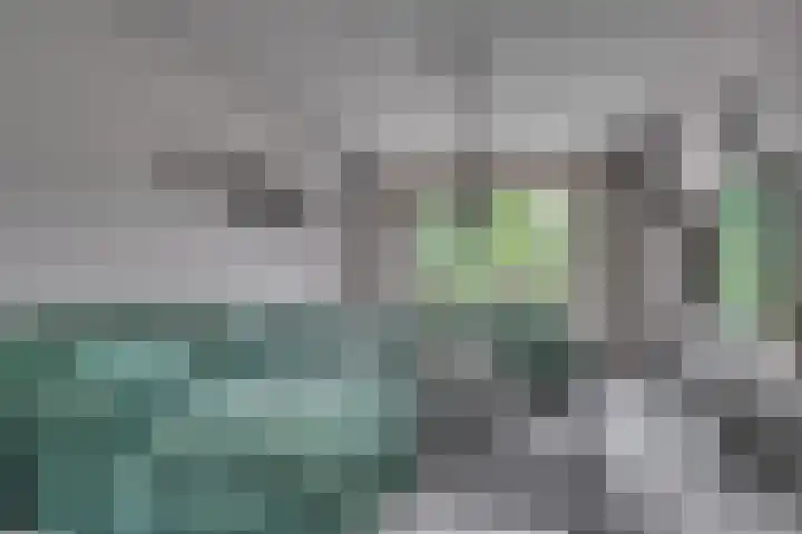 Lijsterweg 4 Venlo thumbnail 4
