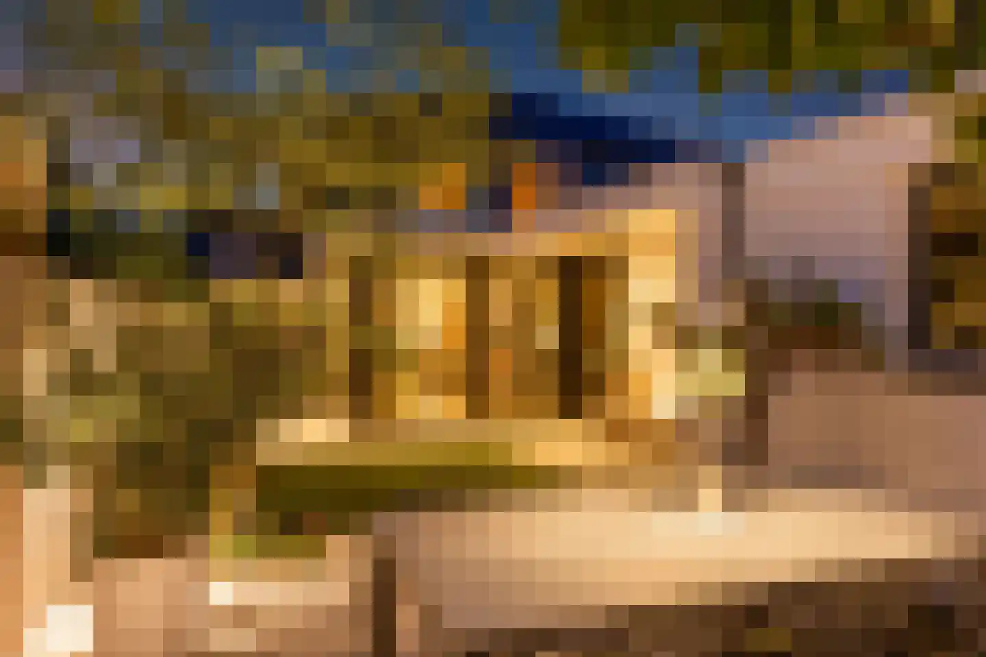 Lijsterweg 42 Hengelo thumbnail 31