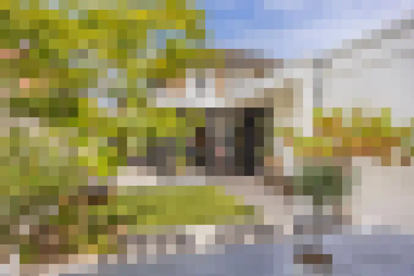 Lijsterweg 42 Hengelo thumbnail 32