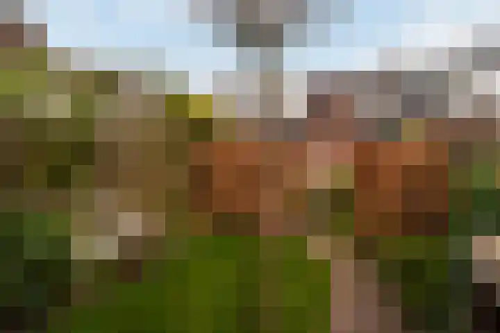 Lijsterweg 46 Hilversum thumbnail 19