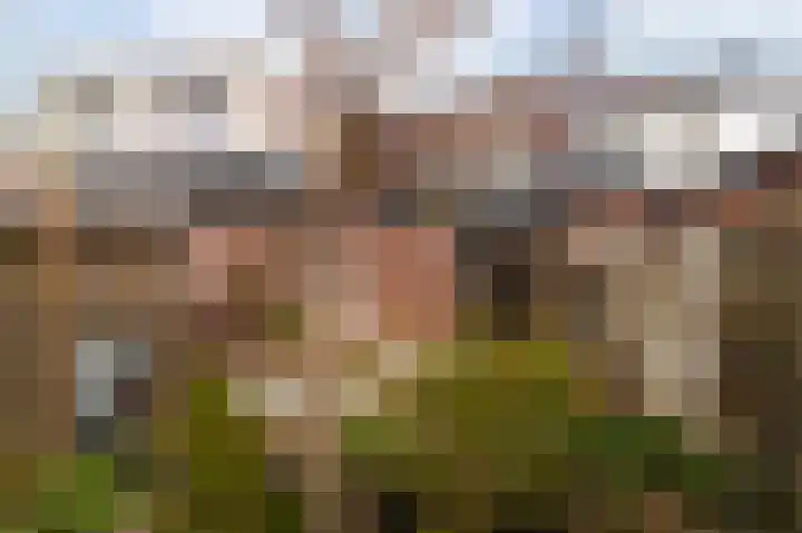 Lijsterweg 46 Hilversum thumbnail 22