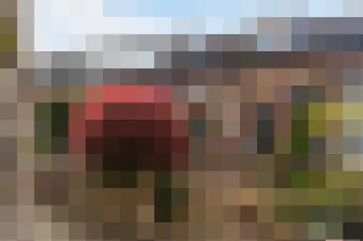 Lijsterweg 46 Hilversum thumbnail 24