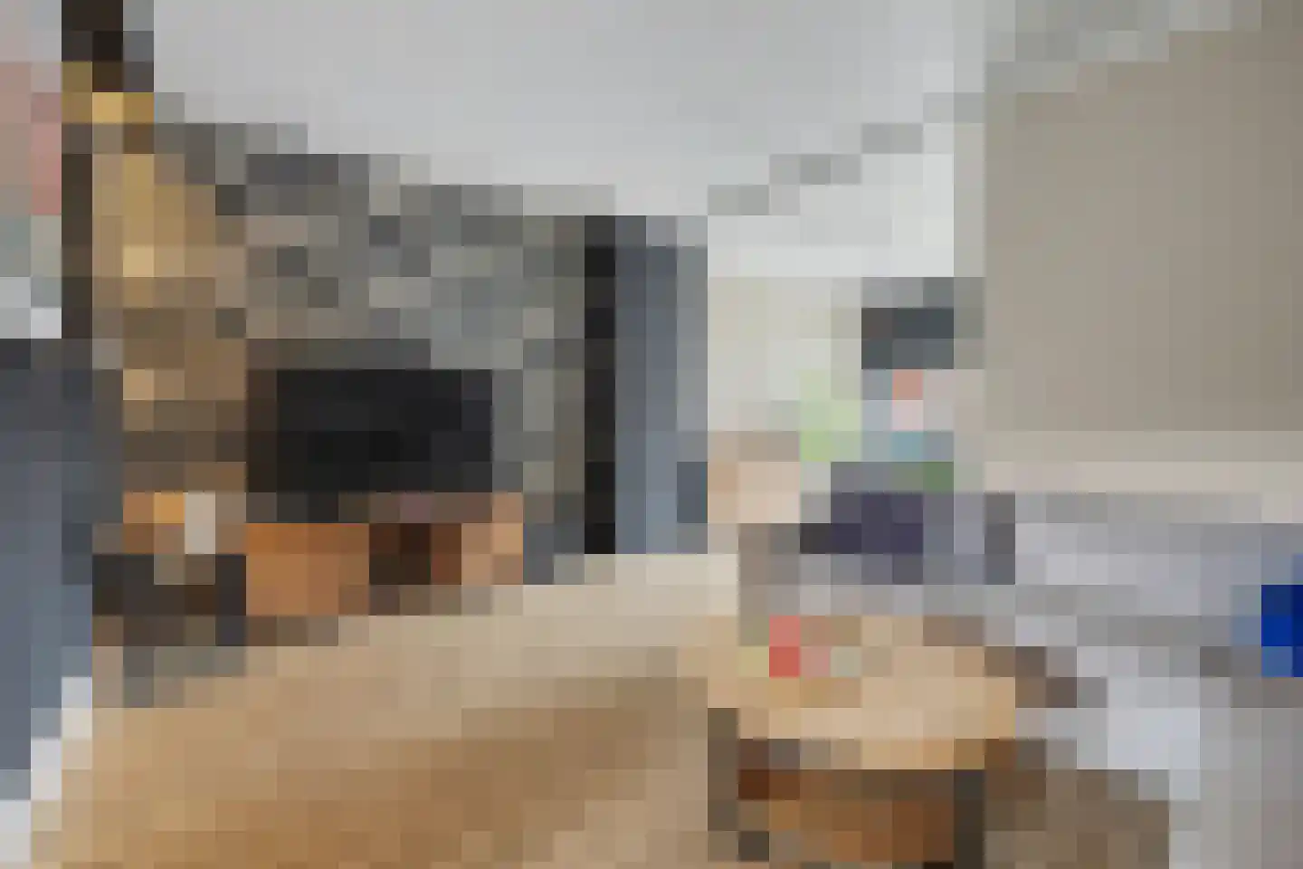 Lijsterweg 60 Hengelo thumbnail 10