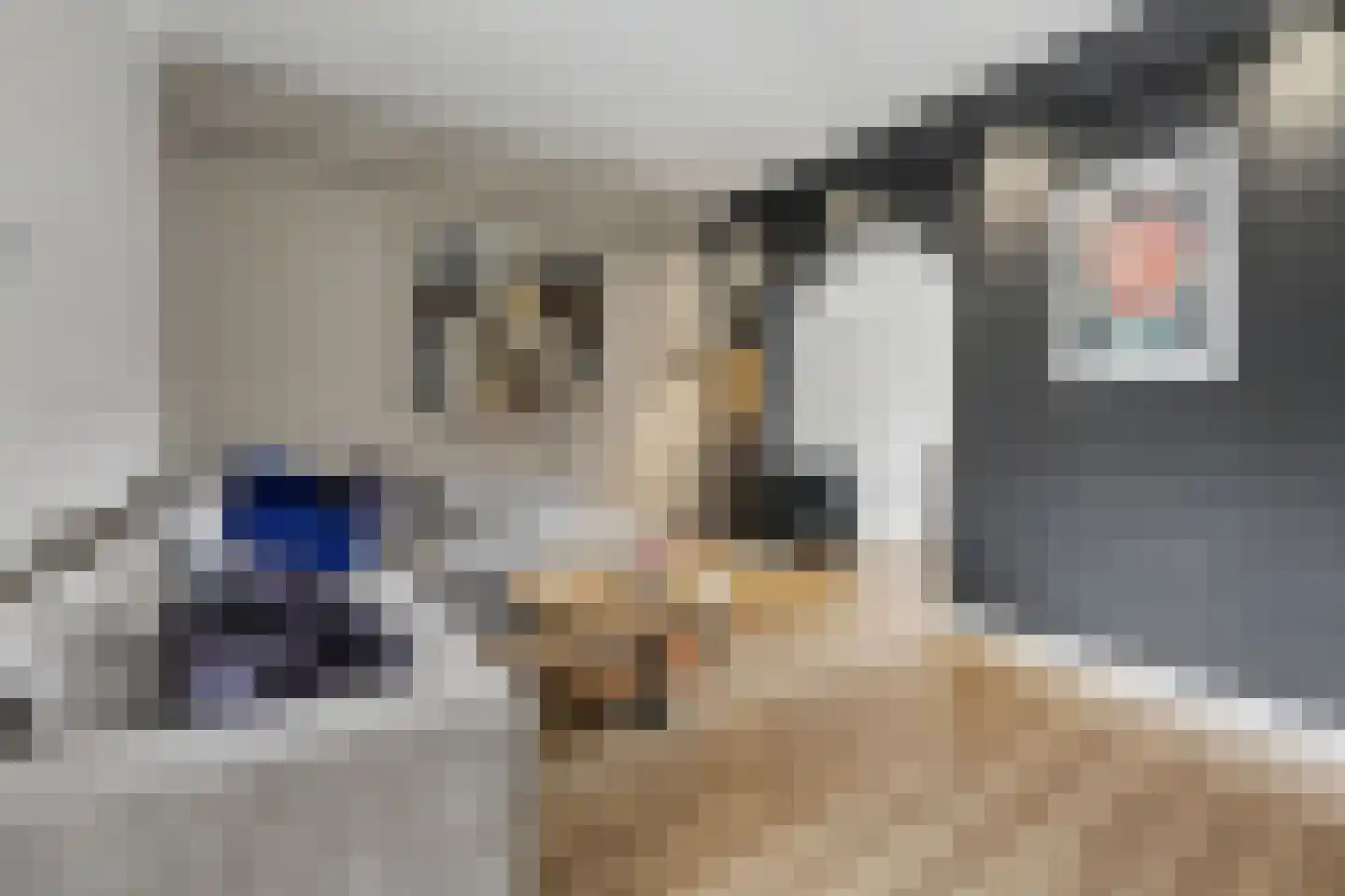 Lijsterweg 60 Hengelo thumbnail 12