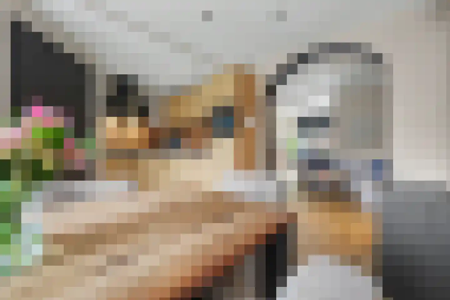 Lijsterweg 60 Hengelo thumbnail 13