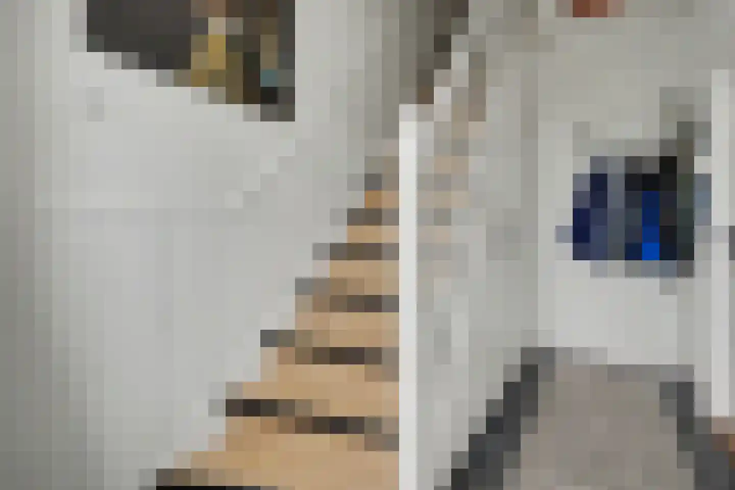 Lijsterweg 60 Hengelo thumbnail 5