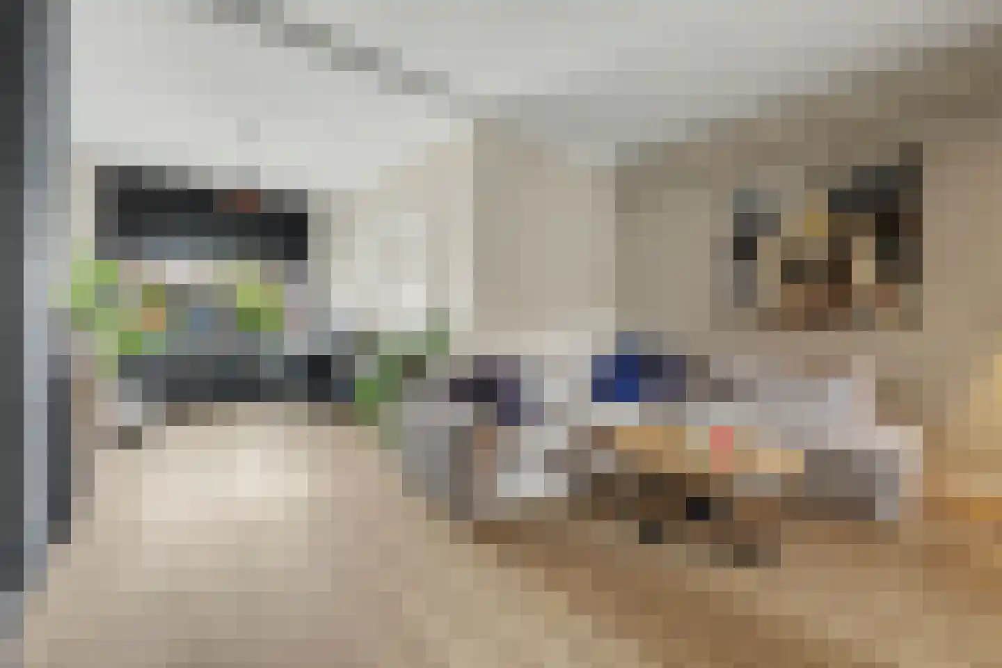 Lijsterweg 60 Hengelo thumbnail 8