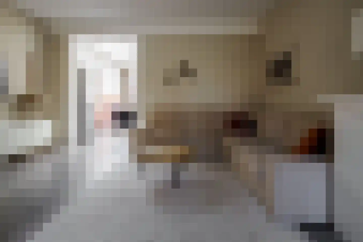 Lijsterweg 64 Hengelo thumbnail 6