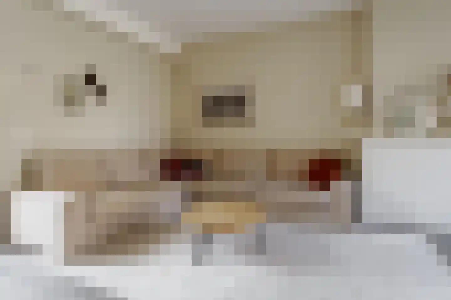 Lijsterweg 64 Hengelo thumbnail 8