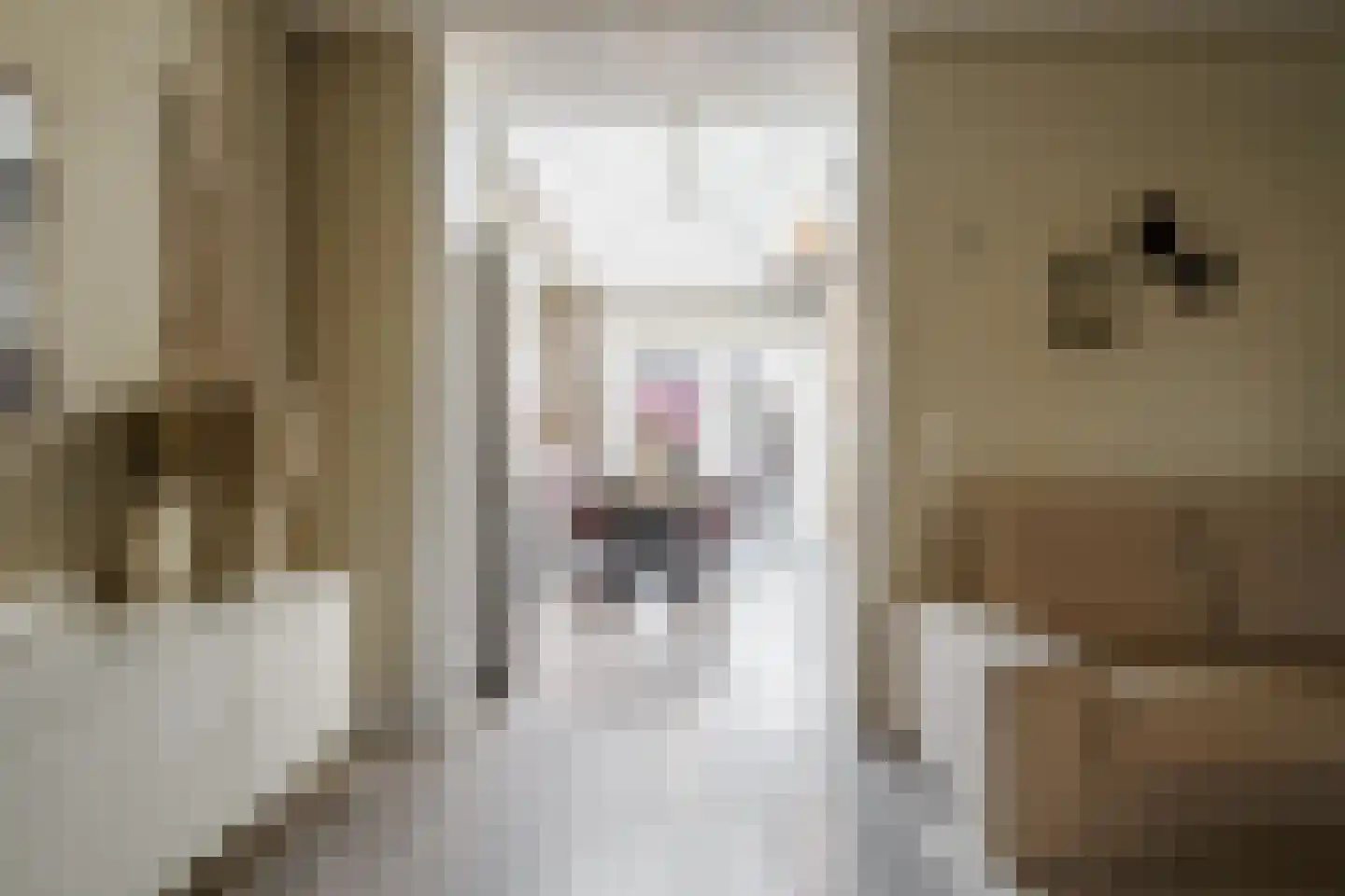 Lijsterweg 64 Hengelo thumbnail 9