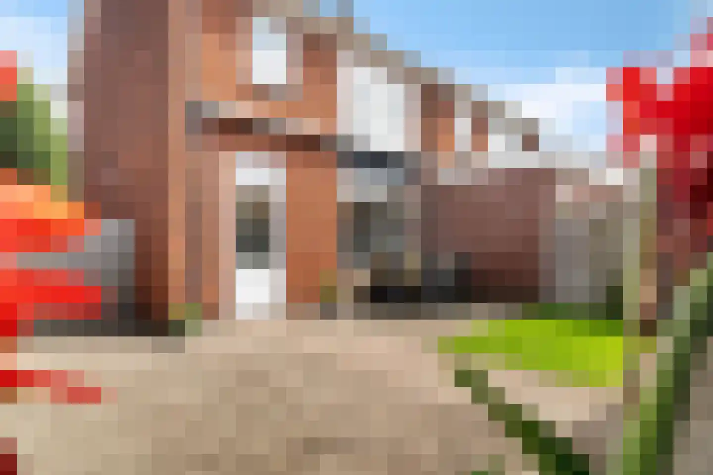 Lijsterweg 72 Hengelo thumbnail 29