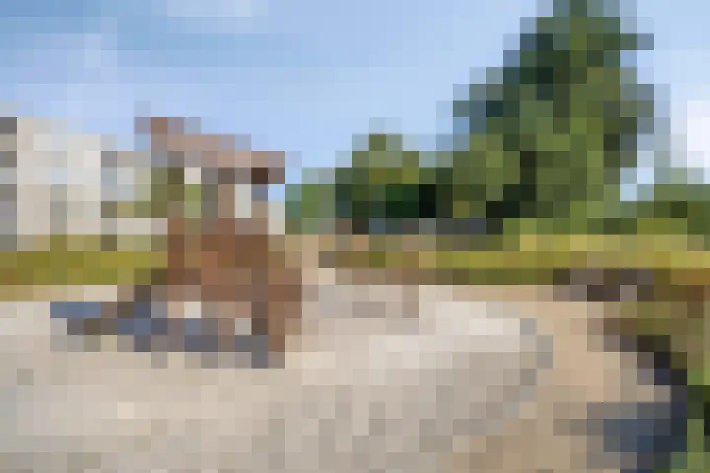 Lijsterweg 74 Hengelo thumbnail 33