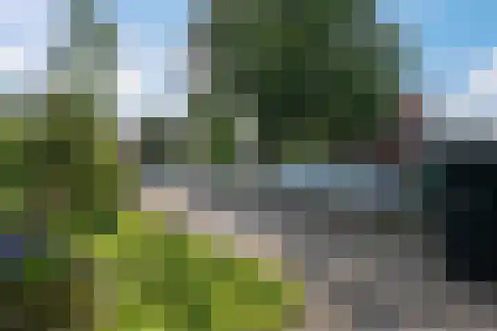 Lijsterweg 8 Haren Gn thumbnail 11