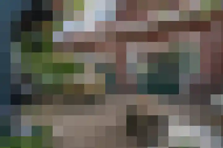 Lijsterweg 8 Haren Gn thumbnail 25