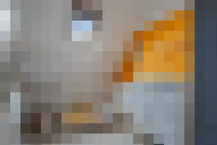 Lijsterweg 8 Haren Gn thumbnail 29