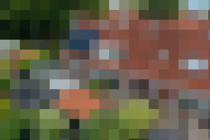Lijsterweg 8 Haren Gn thumbnail 37
