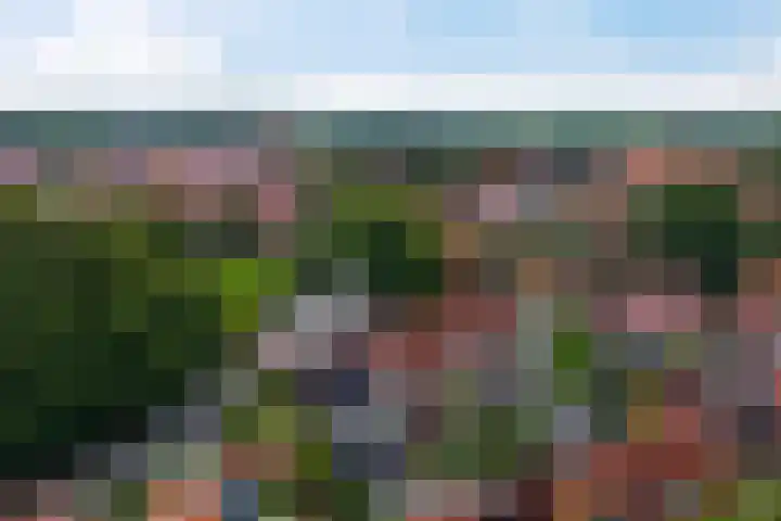 Lijsterweg 8 Haren Gn thumbnail 38