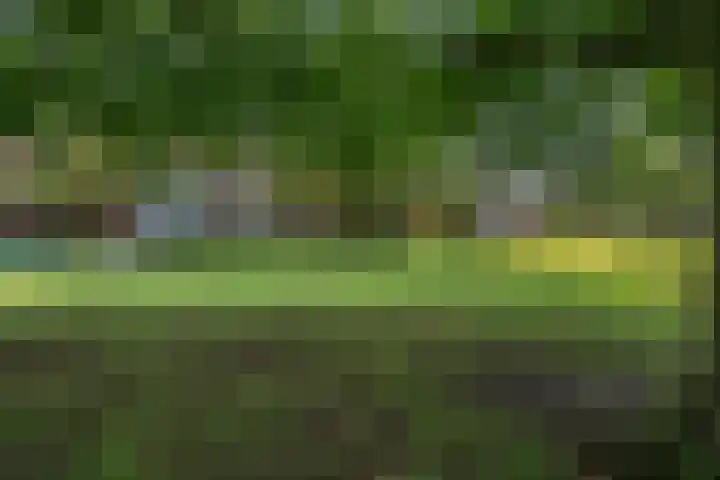 Lijsterweg 8 Haren Gn thumbnail 40