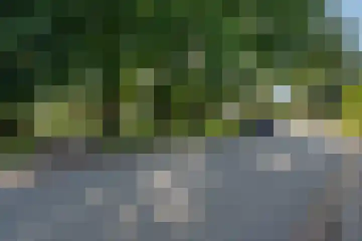 Lijsterweg 8 Haren Gn thumbnail 41