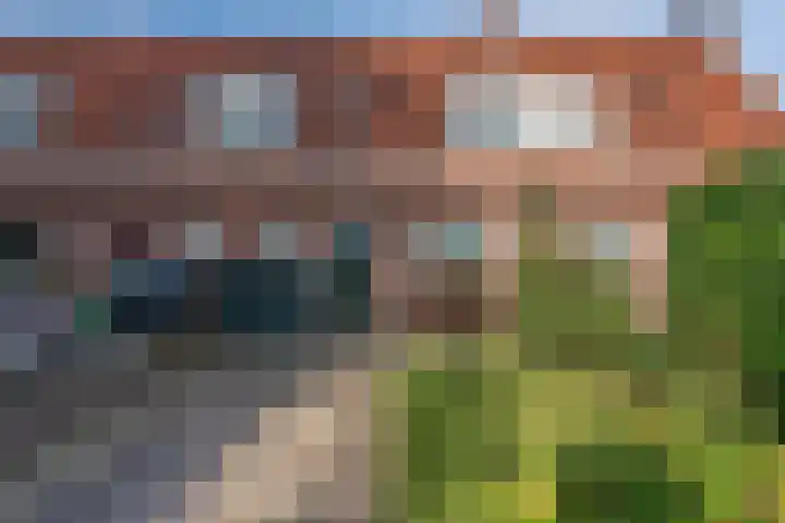 Lijsterweg 8 Haren Gn thumbnail 6