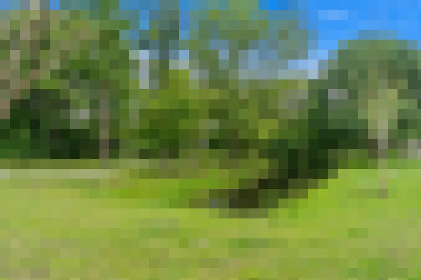 Lijtweg 10 Leidschendam thumbnail 65