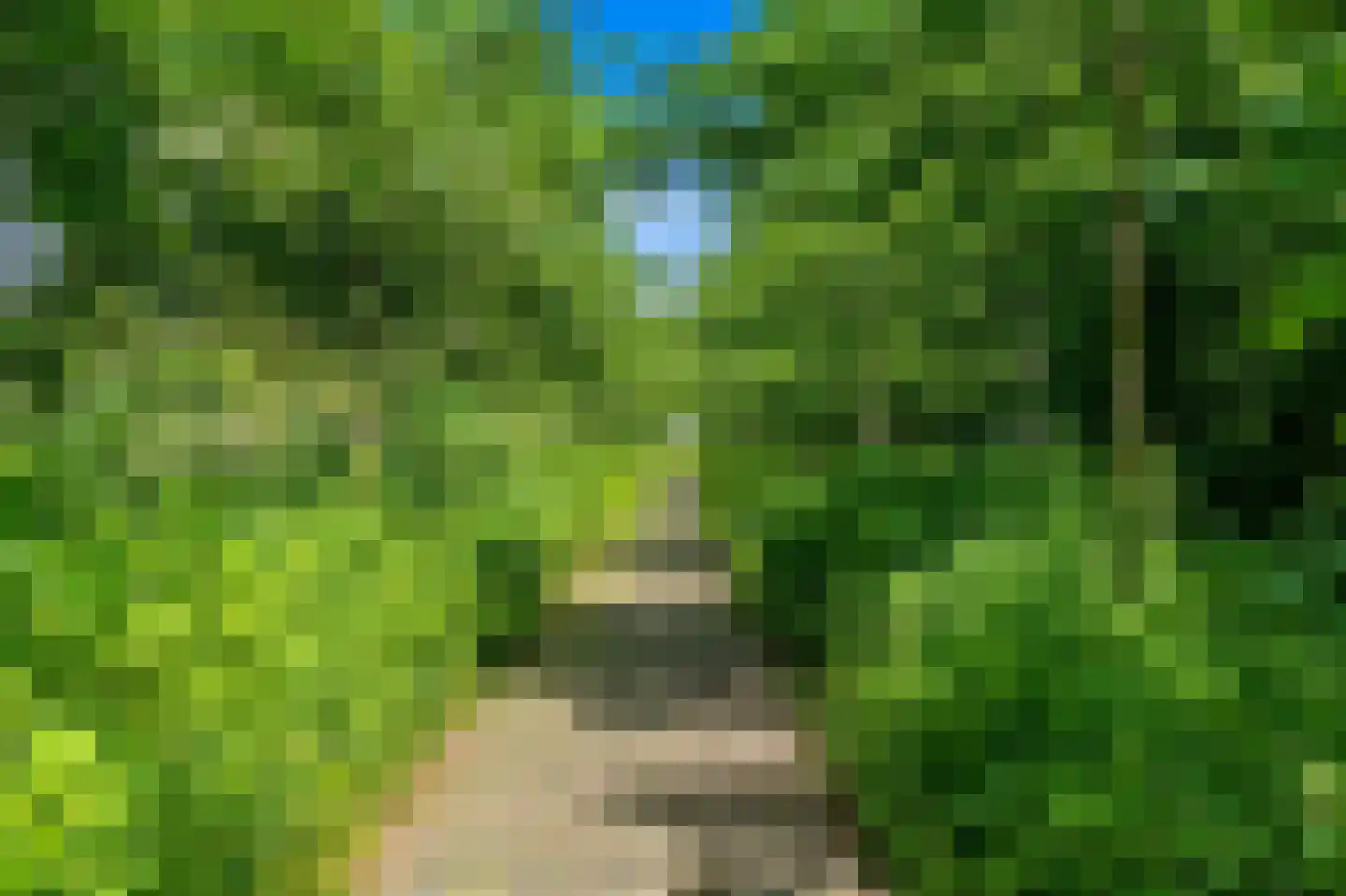 Lijtweg 10 Leidschendam thumbnail 66