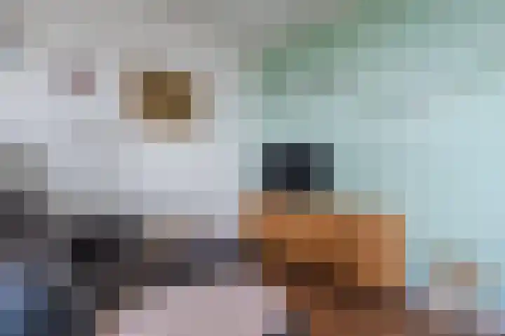 Lijtweg 1003 Oegstgeest thumbnail 12