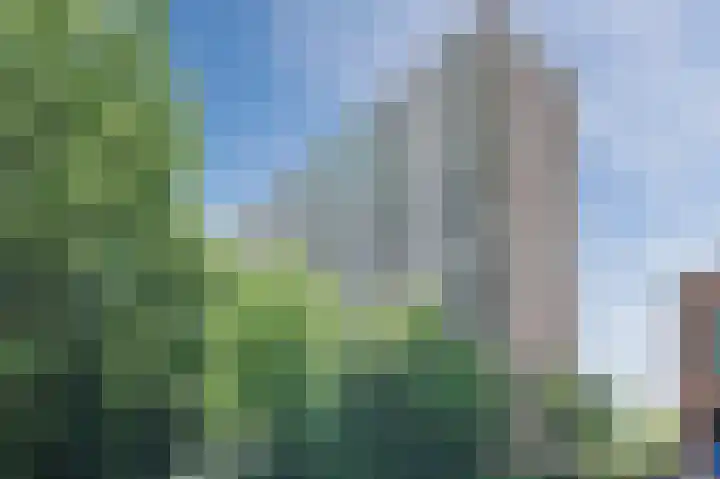 Lijtweg 1003 Oegstgeest thumbnail 26