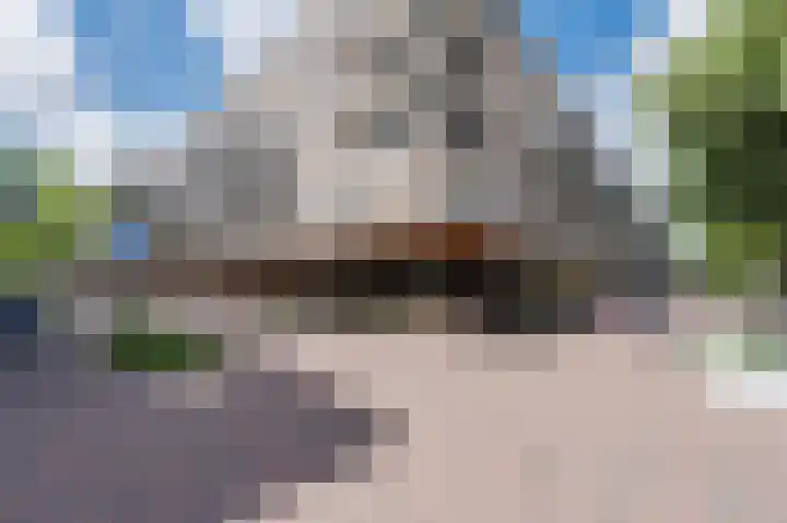Lijtweg 1003 Oegstgeest thumbnail 27