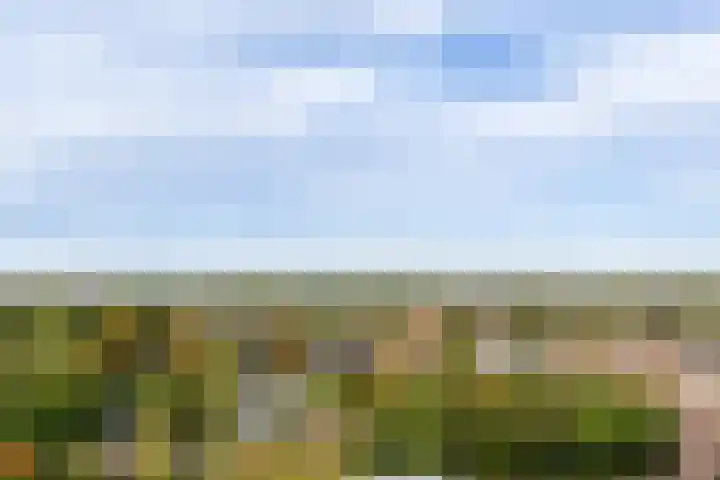 Lijtweg 1007 Oegstgeest thumbnail 14