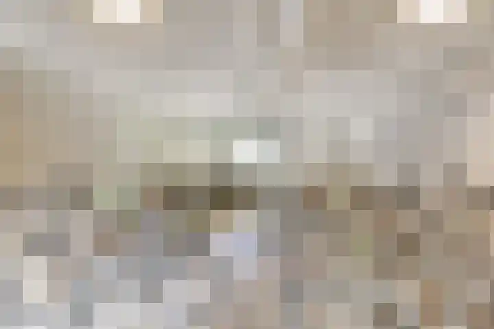Lijtweg 1007 Oegstgeest thumbnail 16