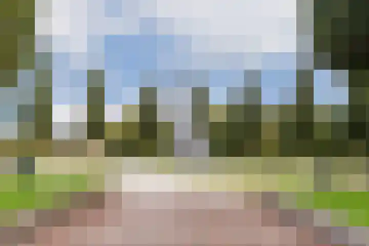 Lijtweg 1007 Oegstgeest thumbnail 18