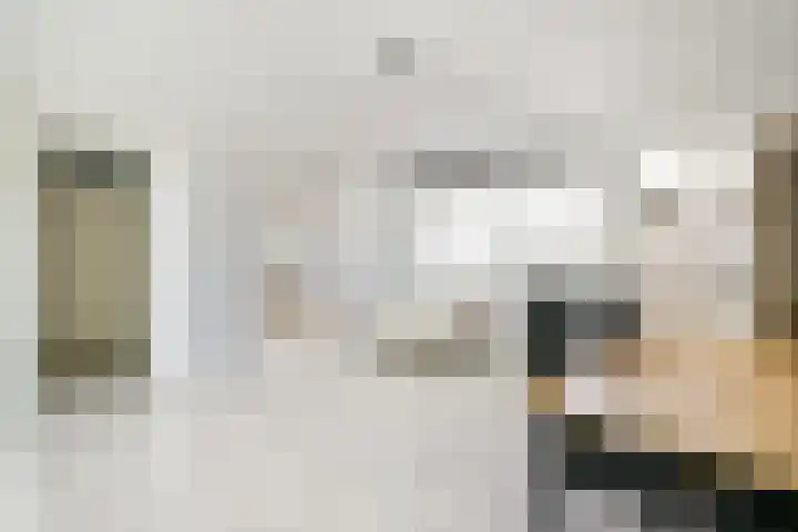 Lijtweg 1007 Oegstgeest thumbnail 5