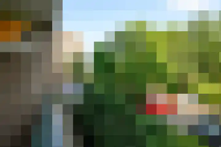 Lijtweg 104 Oegstgeest thumbnail 17