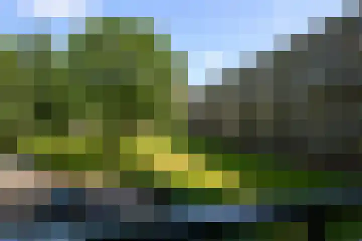 Lijtweg 104 Oegstgeest thumbnail 18