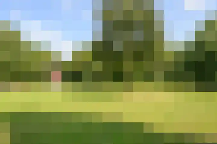 Lijtweg 104 Oegstgeest thumbnail 4