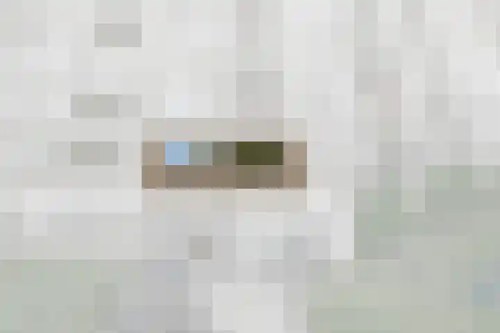 Lijtweg 104 Oegstgeest thumbnail 5