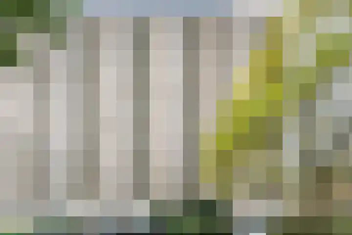Lijtweg 106 Oegstgeest thumbnail 29