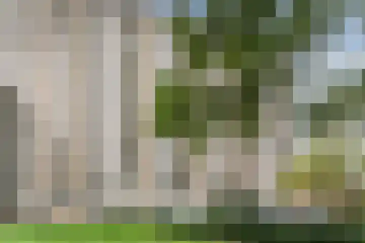 Lijtweg 106 Oegstgeest thumbnail 30