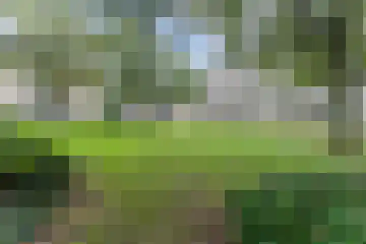 Lijtweg 106 Oegstgeest thumbnail 34
