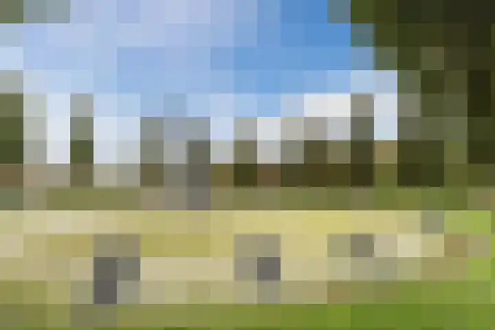 Lijtweg 106 Oegstgeest thumbnail 39
