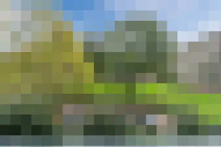 Lijtweg 106 Oegstgeest thumbnail 4
