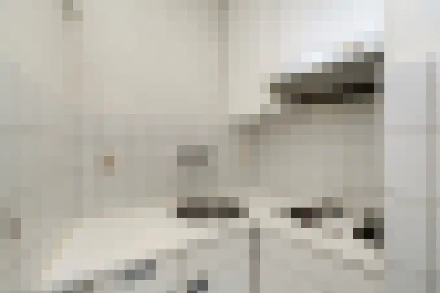 Lijtweg 107 Oegstgeest thumbnail 16