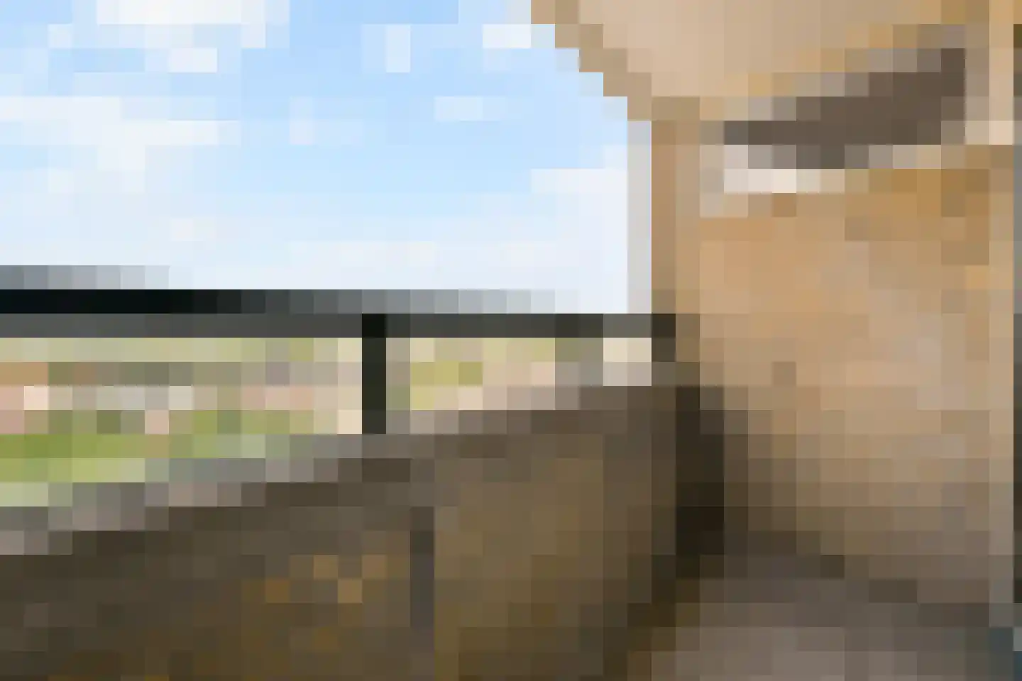 Lijtweg 1103 Oegstgeest thumbnail 20