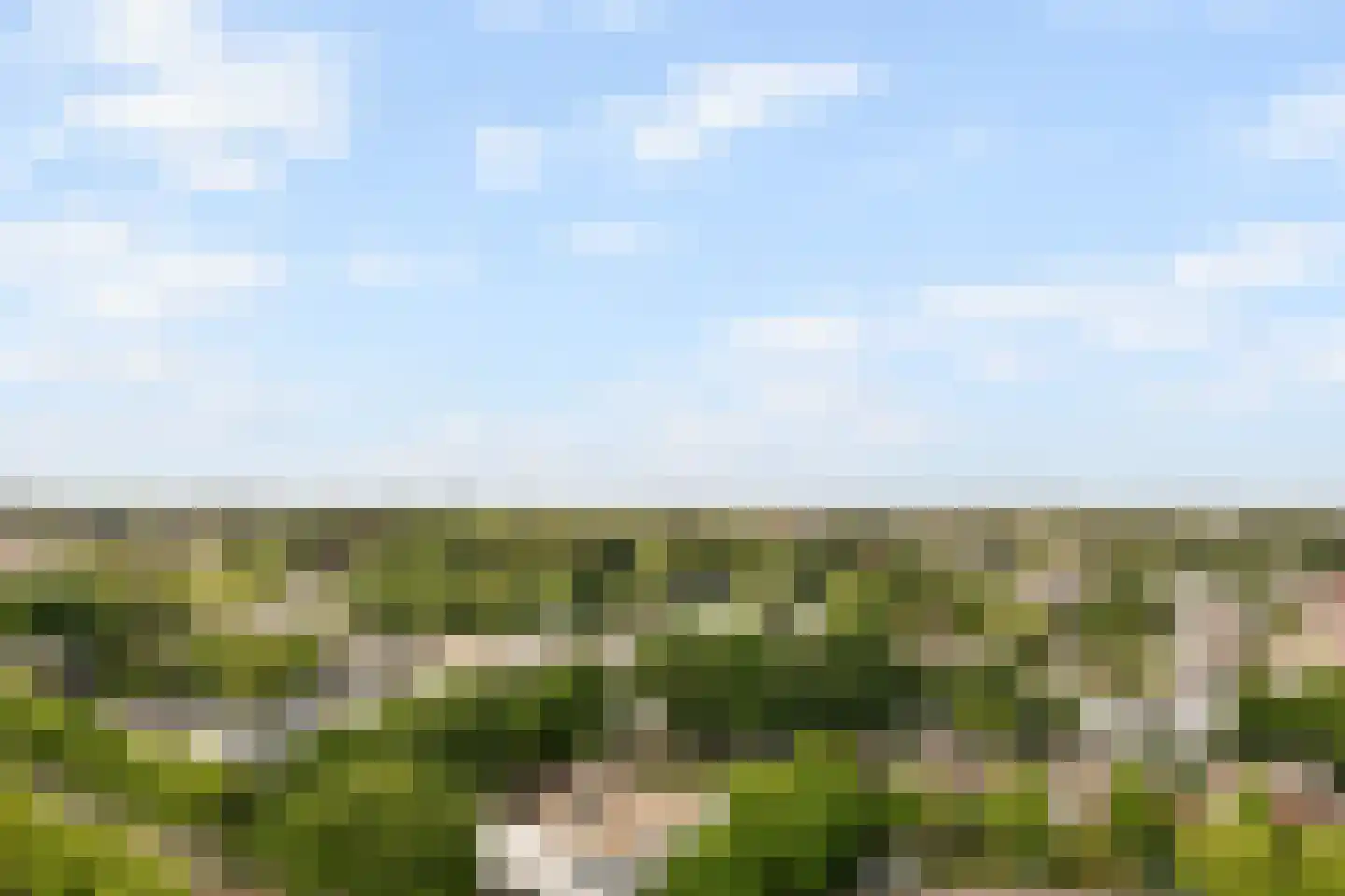 Lijtweg 1103 Oegstgeest thumbnail 22