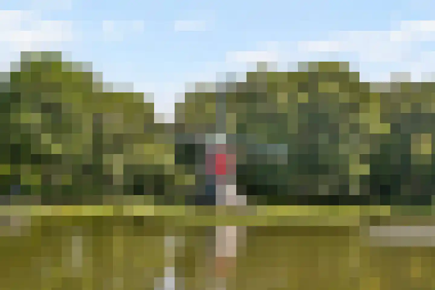 Lijtweg 1103 Oegstgeest thumbnail 24