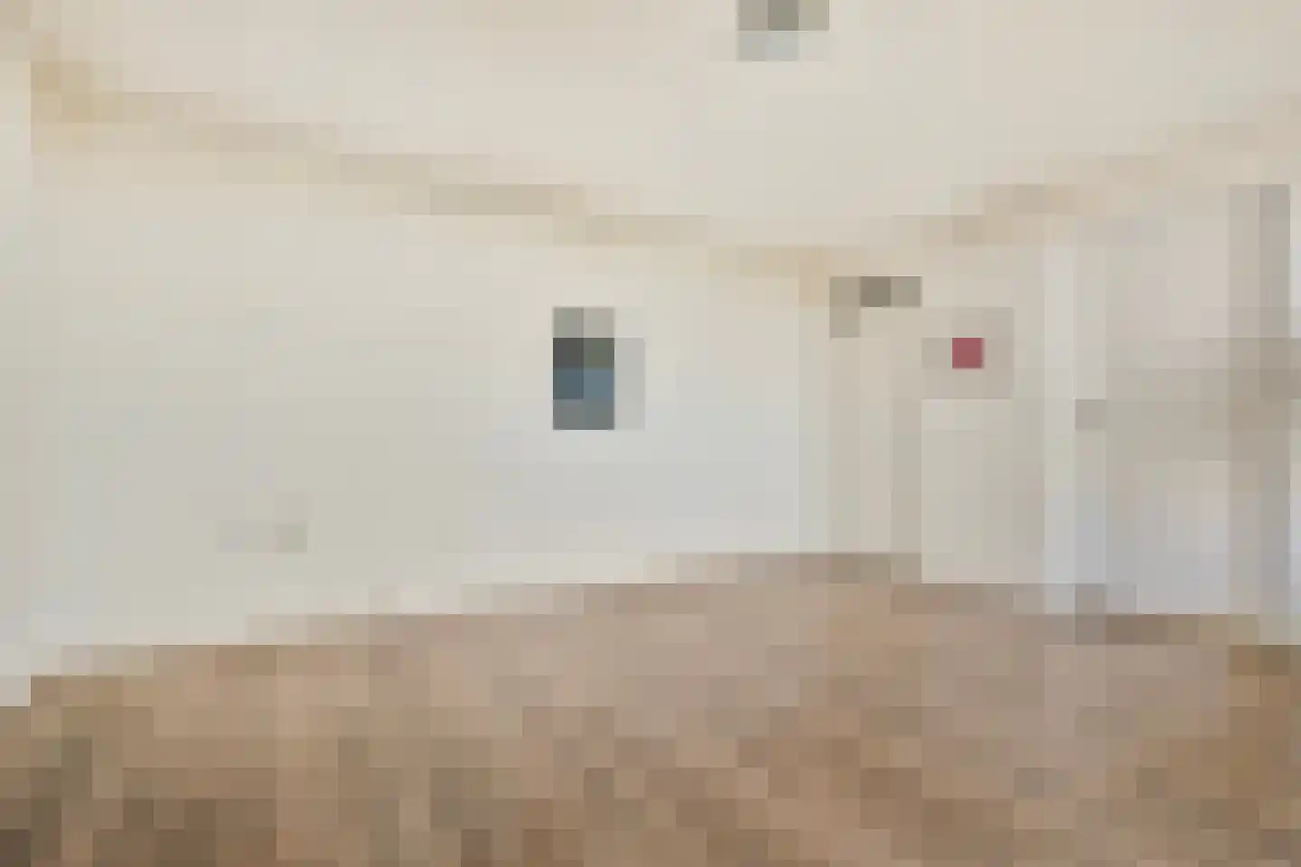 Lijtweg 1103 Oegstgeest thumbnail 8