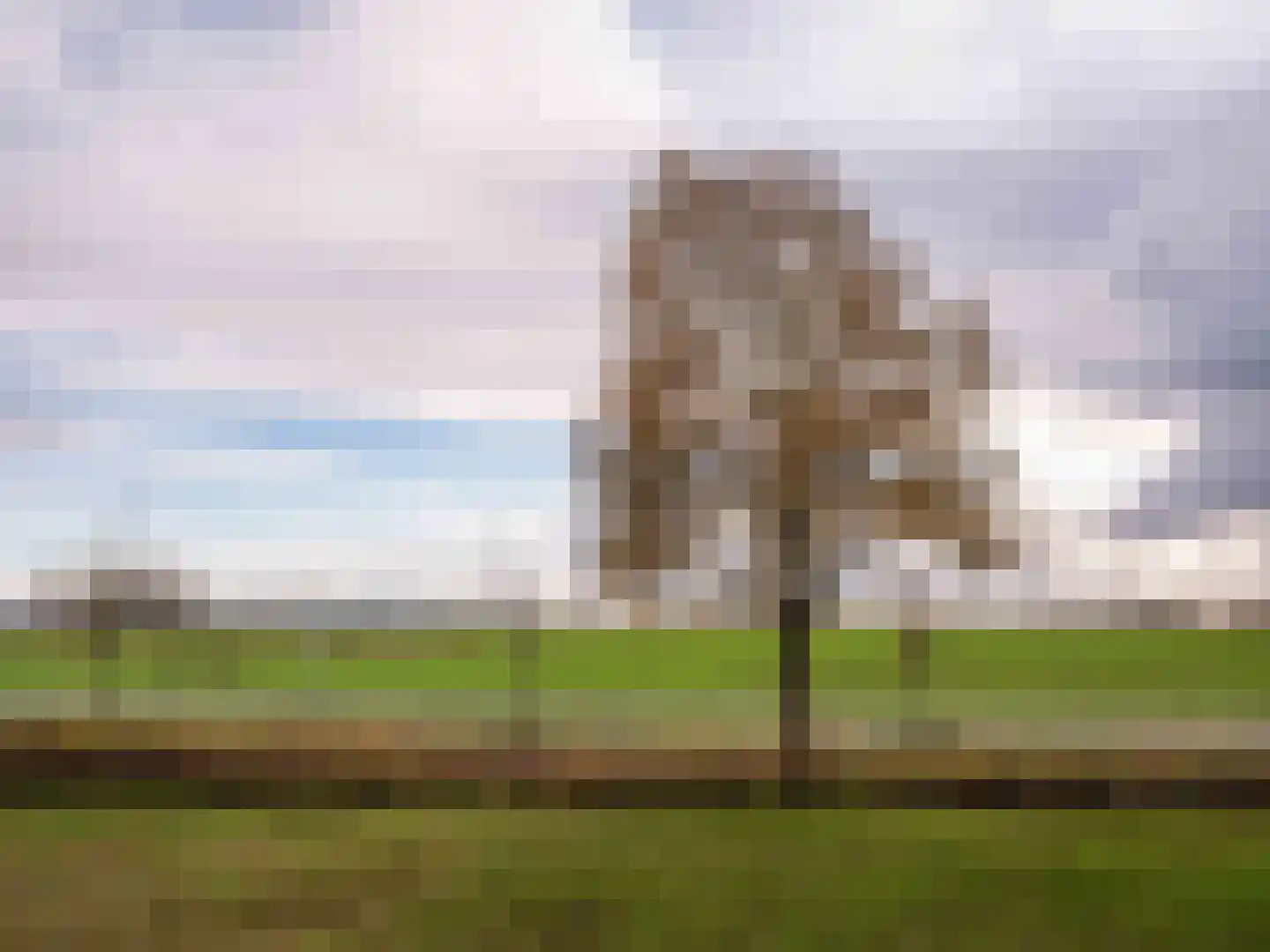 Lijtweg 155 Bergen (NH) thumbnail 23