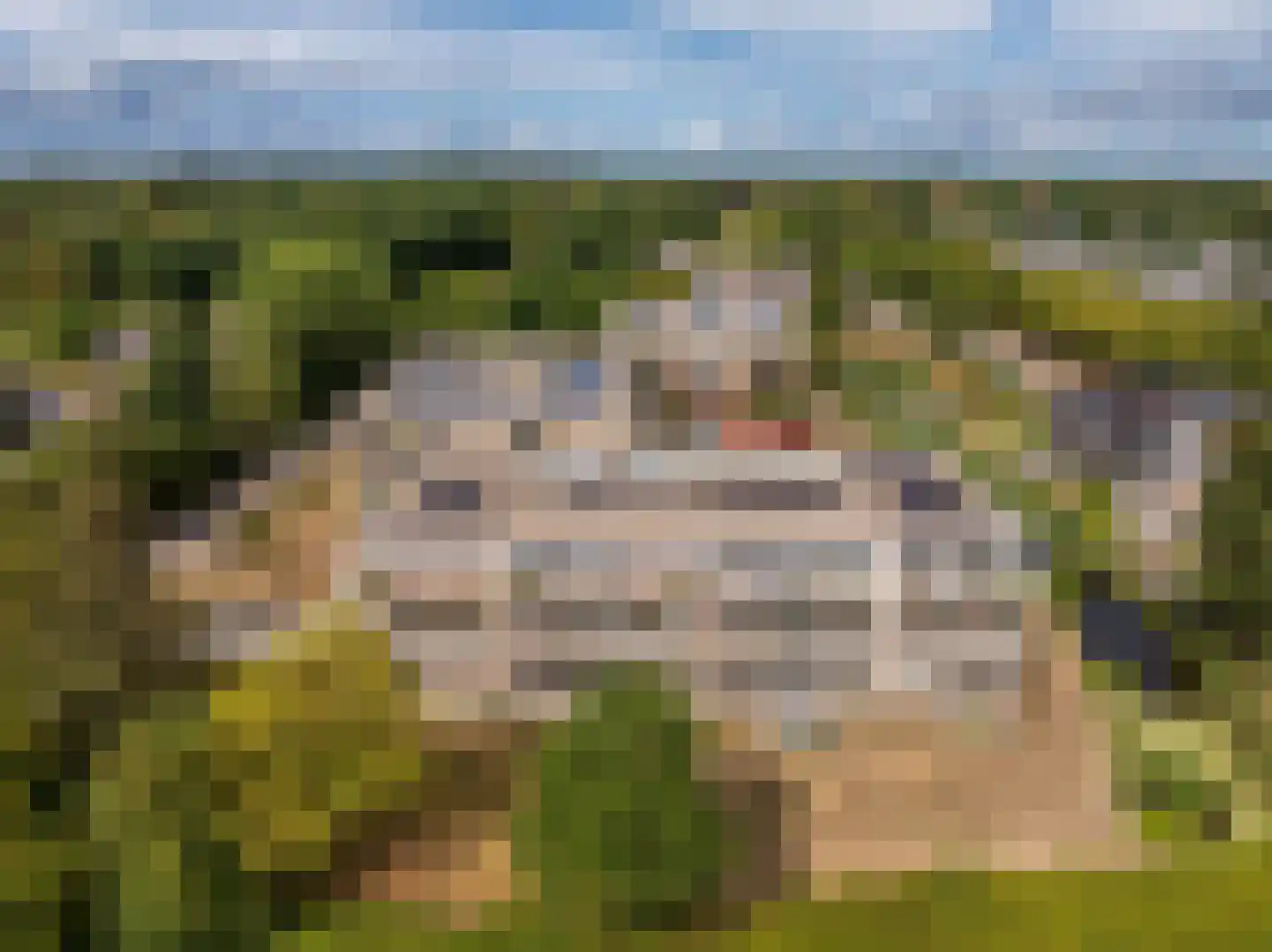 Lijtweg 165 Bergen (NH) thumbnail 40